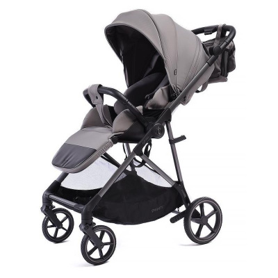 Прогулочная коляска Peppy Amici Grey рама серая 01